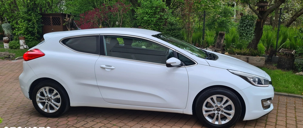 Kia Pro_cee'd cena 33900 przebieg: 190000, rok produkcji 2013 z Kietrz małe 781